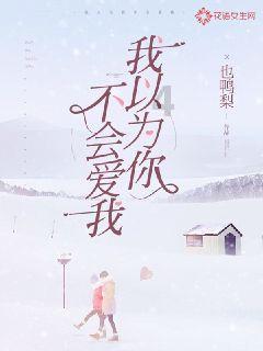 机甲英豪D