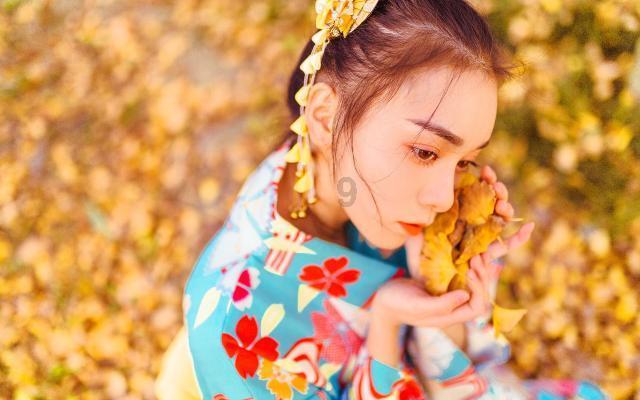 逃离拼图花园